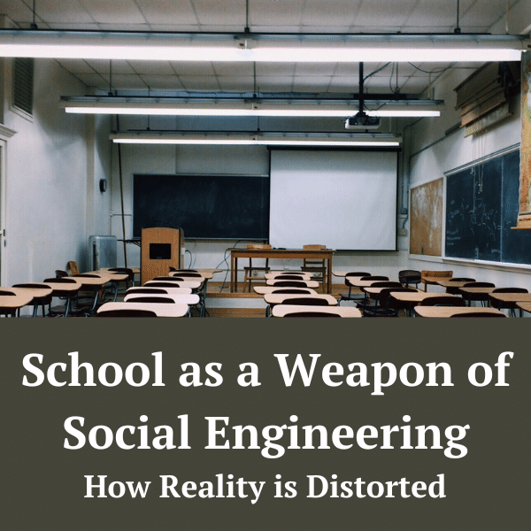 school as a weapon of social engineering